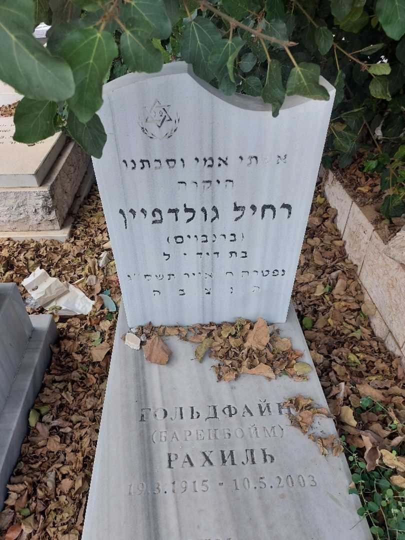 קברו של רחיל גולדפיין. תמונה 4