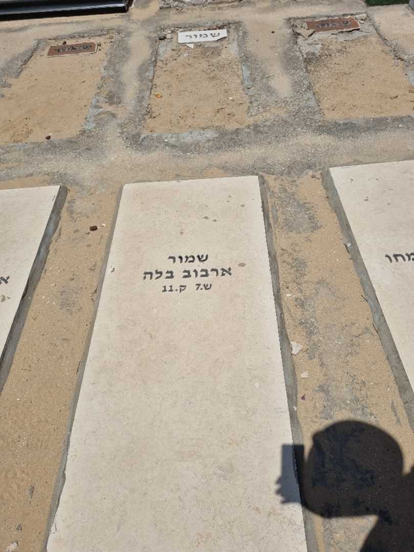 קברו של בלה ארבוב