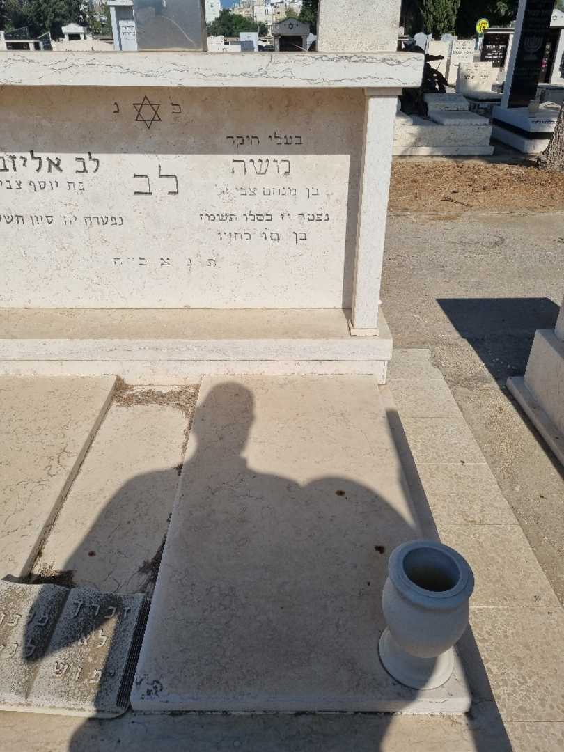 קברו של לודביק לב. תמונה 2