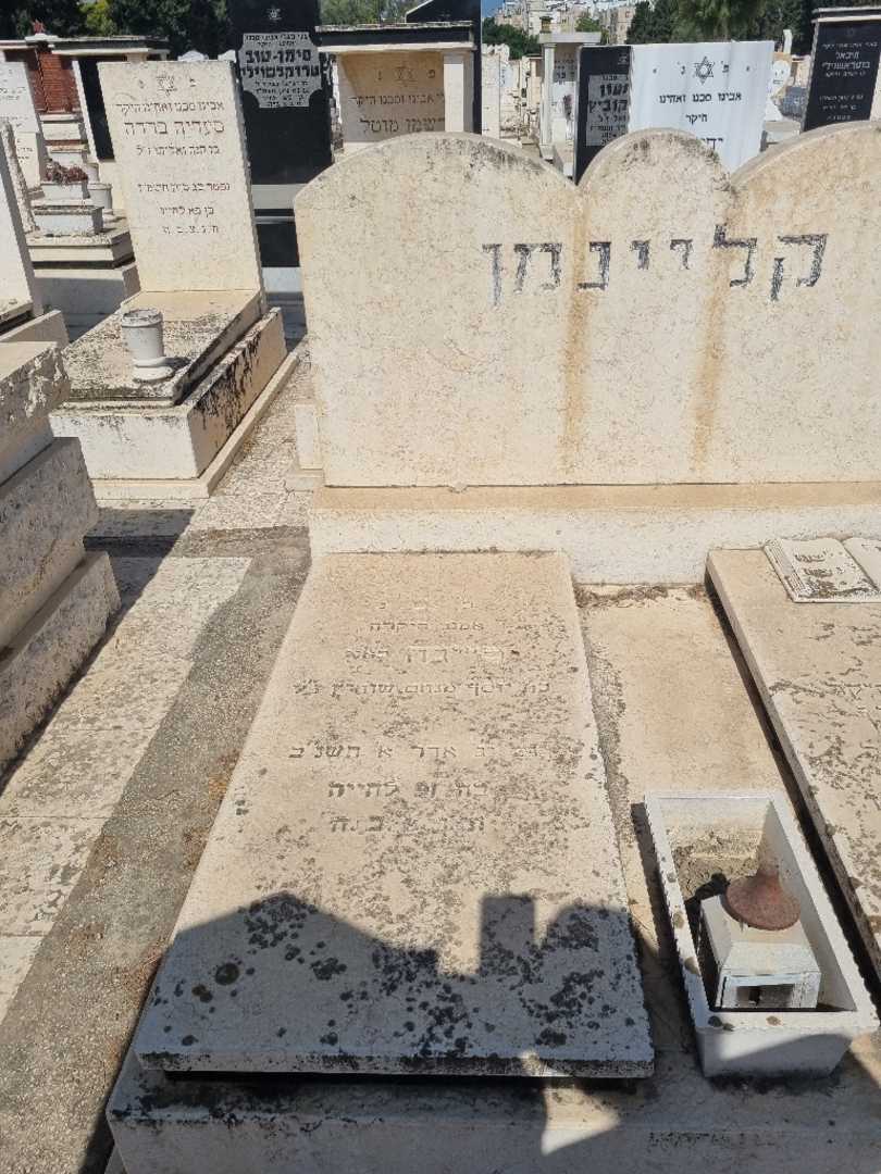 קברו של איגיף קליינמן. תמונה 2