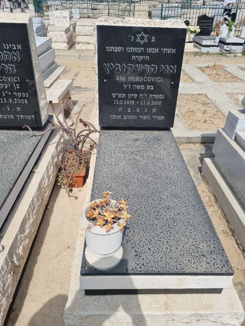 קברו של אני הרשקוביץ. תמונה 2
