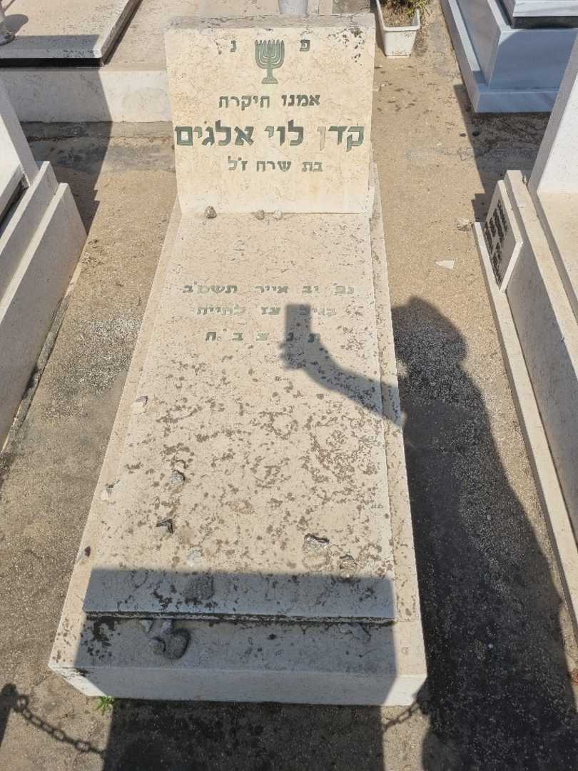קברו של קדן לוי אלגים