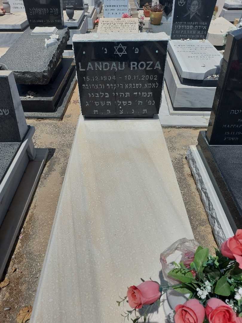 קברו של רוזה לנדאו