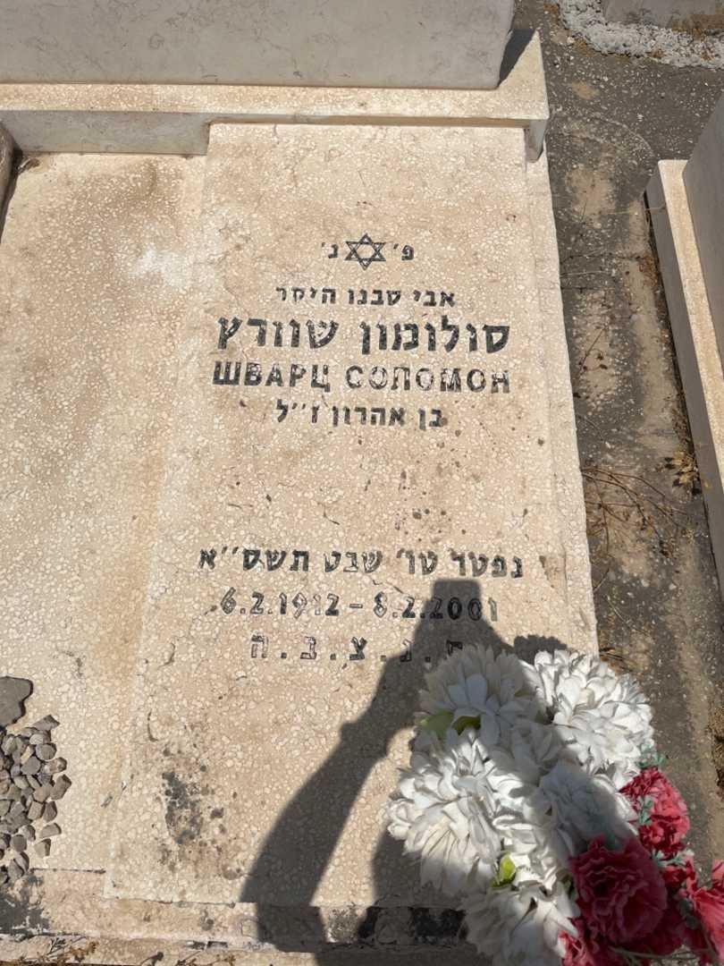 קברו של סולומון שוורץ. תמונה 1