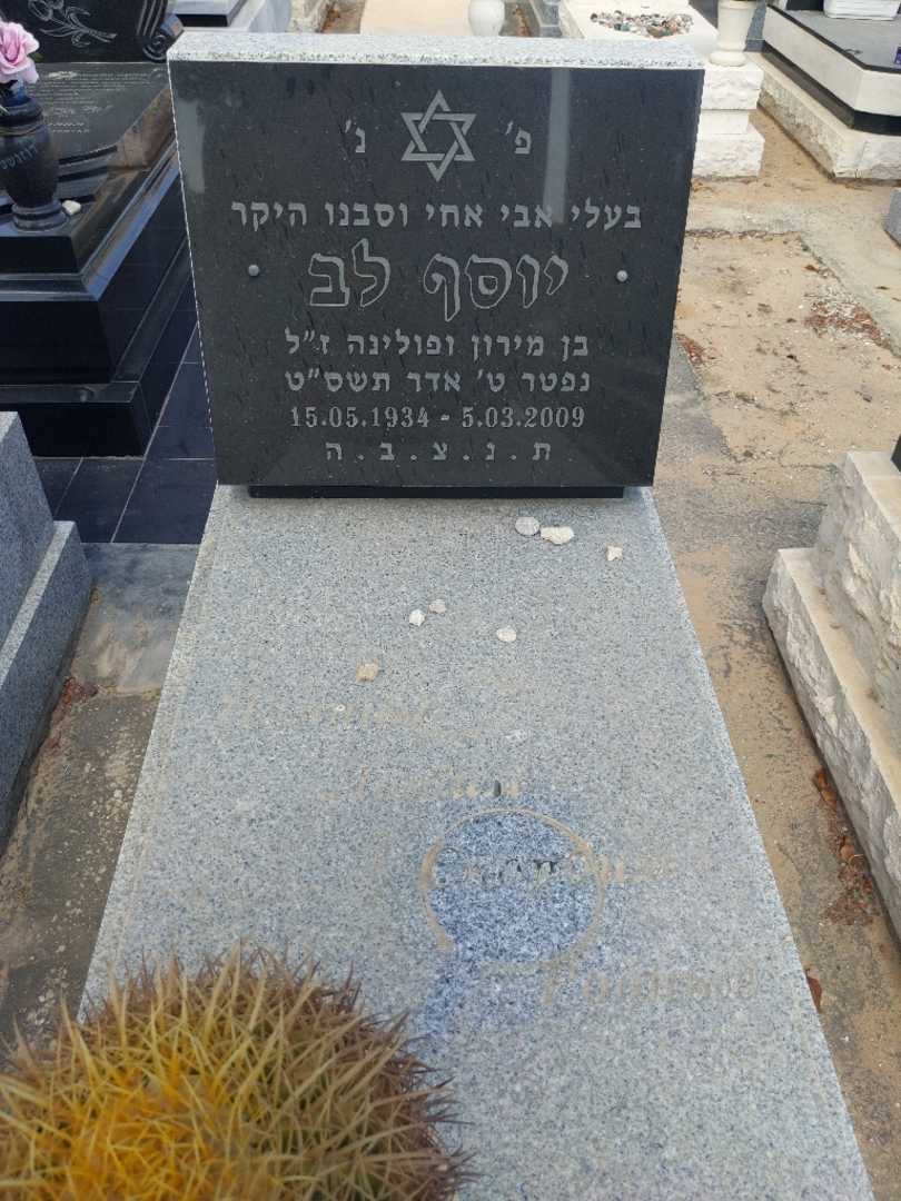 קברו של יוסף לב