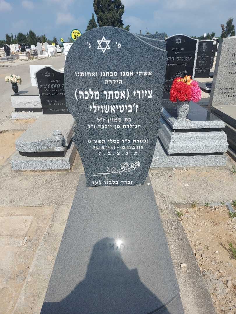 קברו של ציורי "אסתר מלכה" ז'ביטיאשוילי