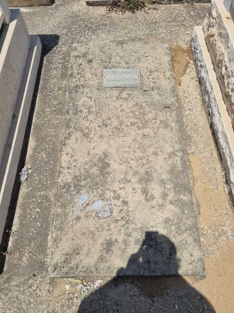 קברו של שמעון גולדנברג