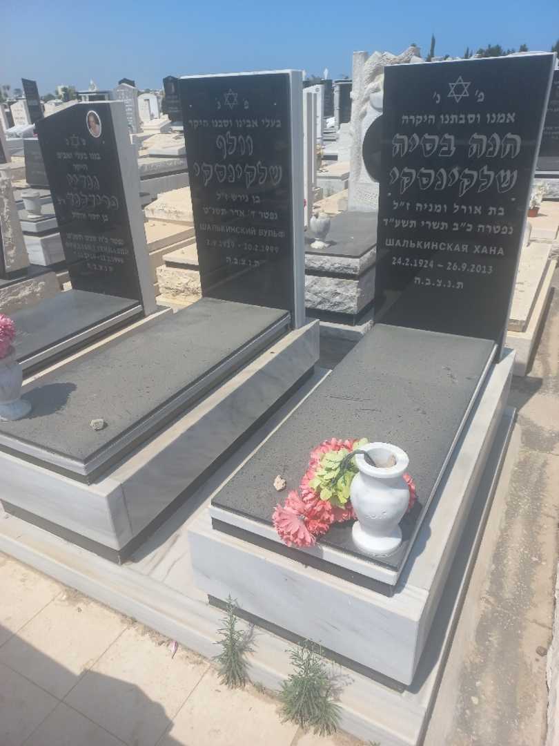 קברו של חנה בסיה שלקינסקי. תמונה 1