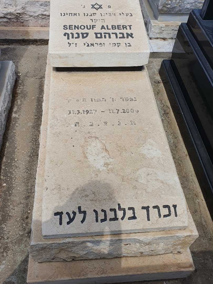 קברו של אברהם סנוף
