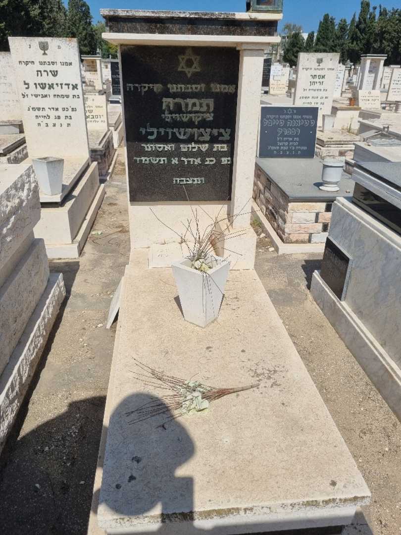 קברו של תמרה צוציאשוילי