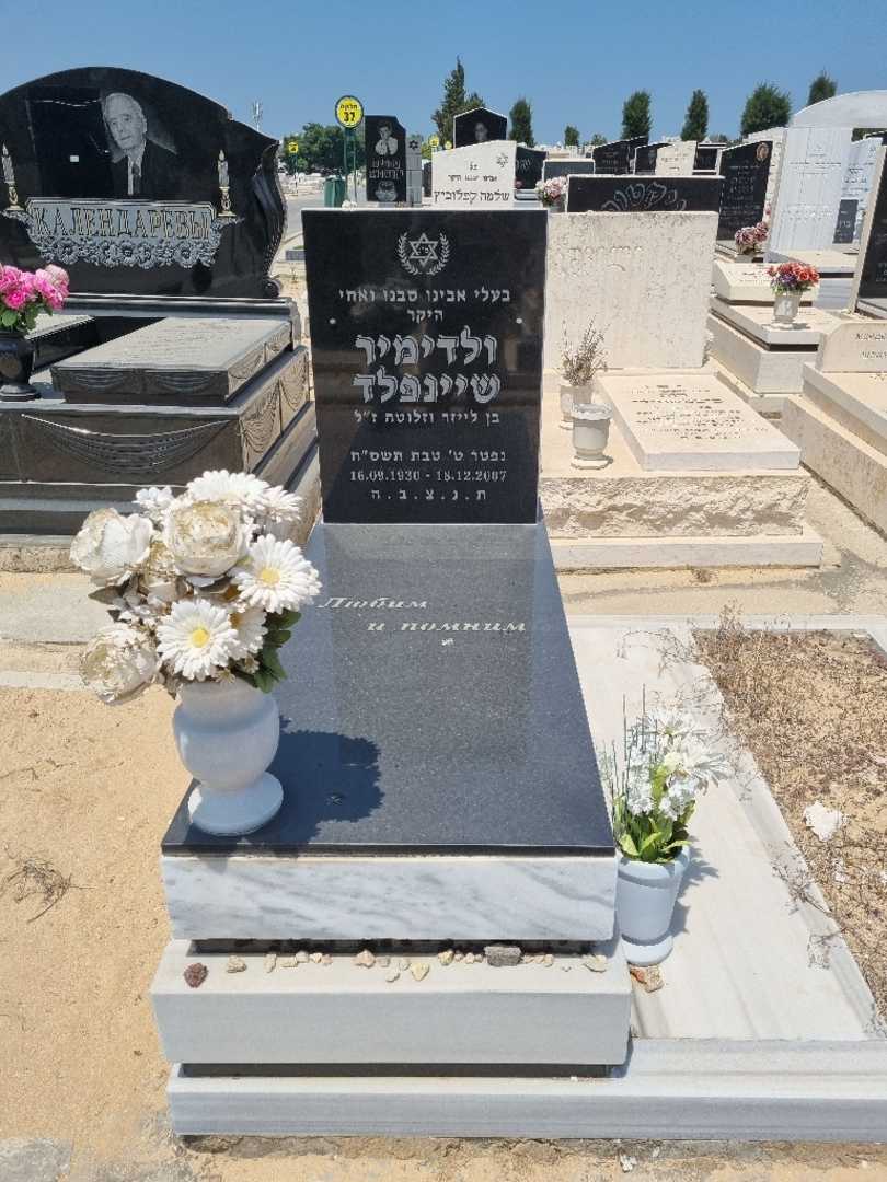 קברו של ולדימיר שיינפלד