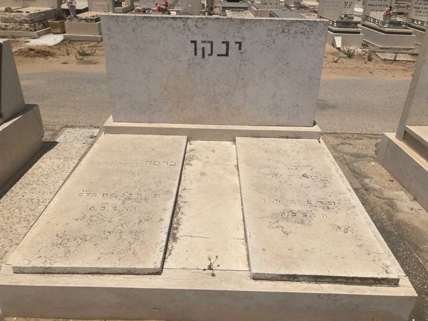 קברו של ברטה "אלטה ברנדל" ינקו. תמונה 1
