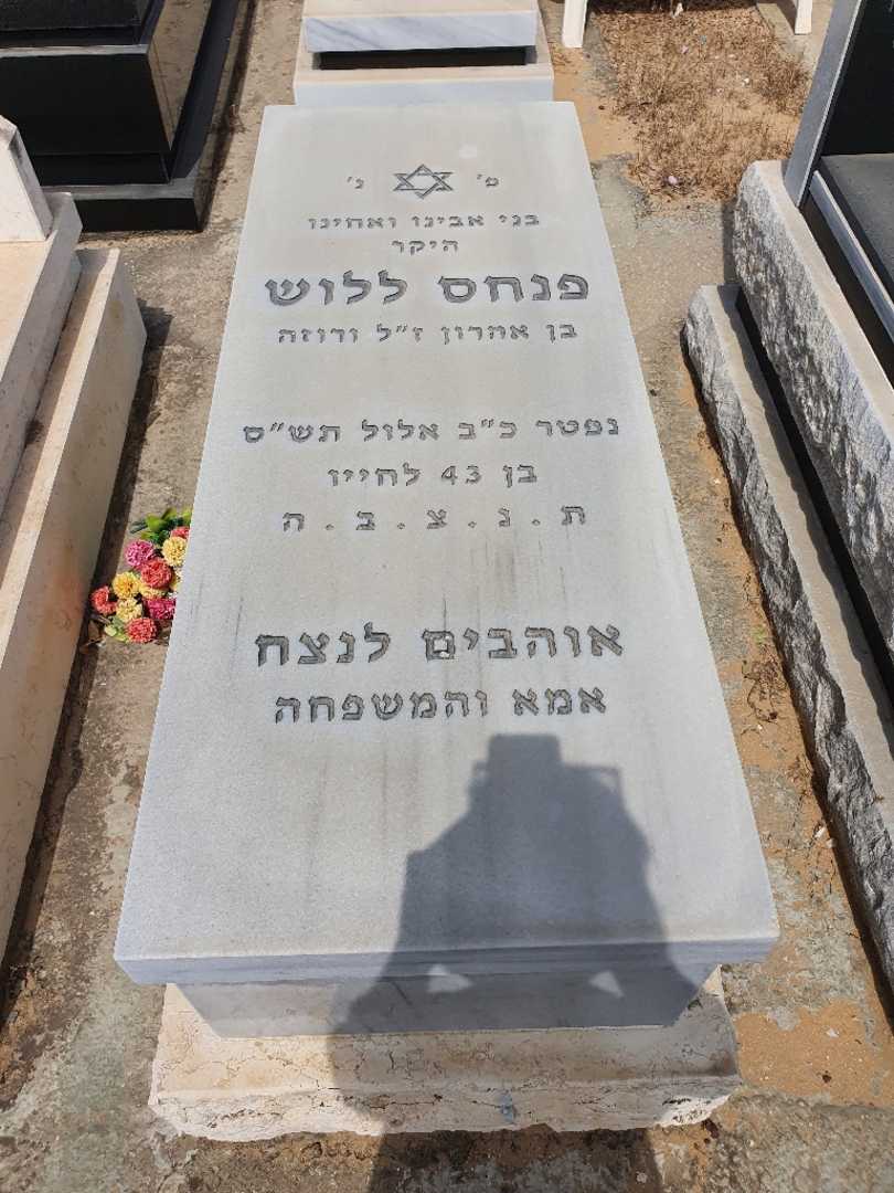 קברו של פנחס ללוש