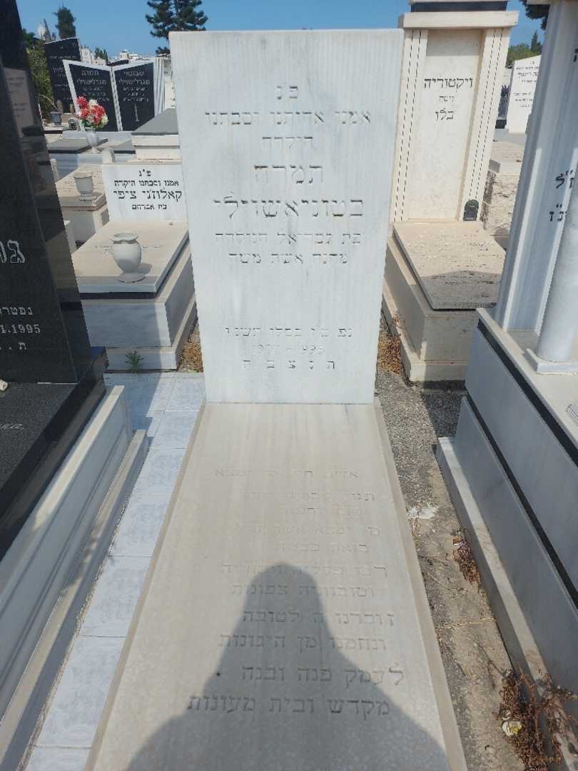 קברו של תמרה בטוניאשוילי