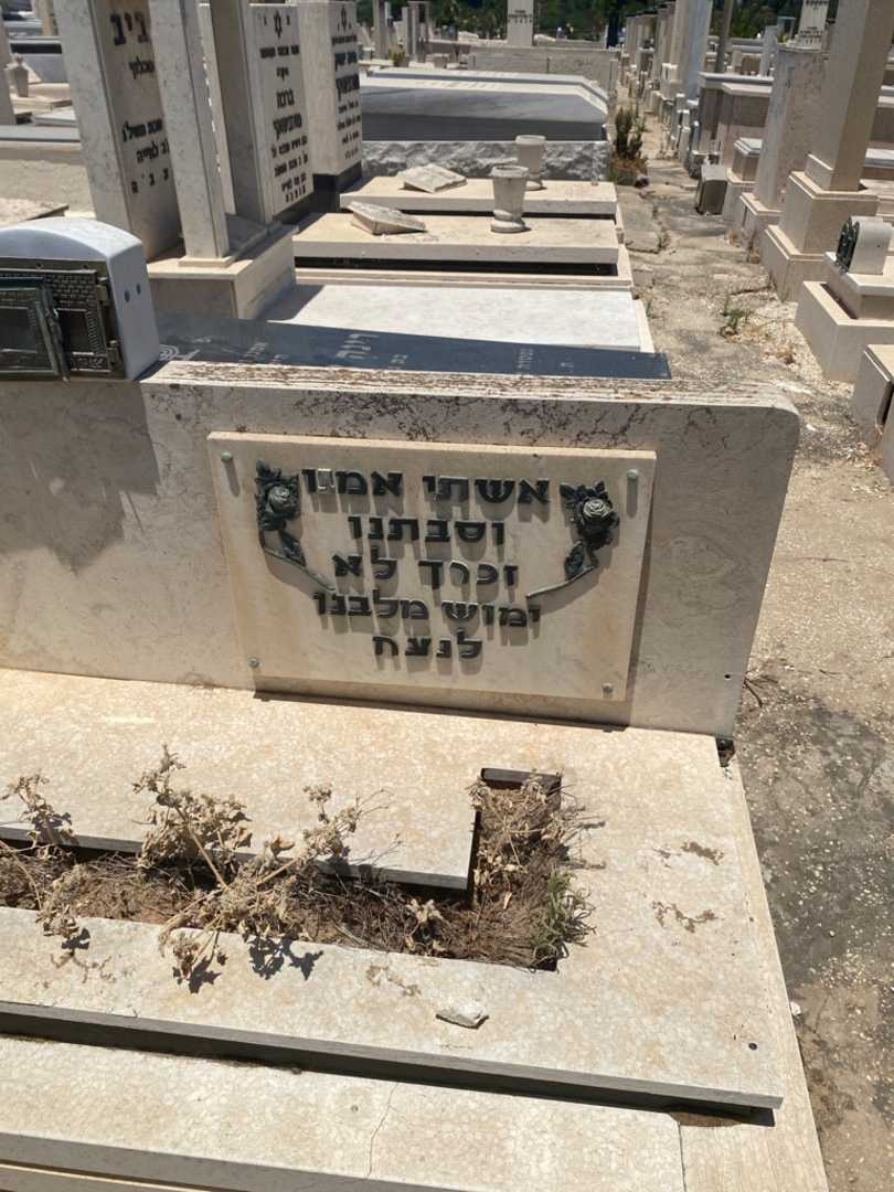 קברו של סכנה לכמאן. תמונה 2