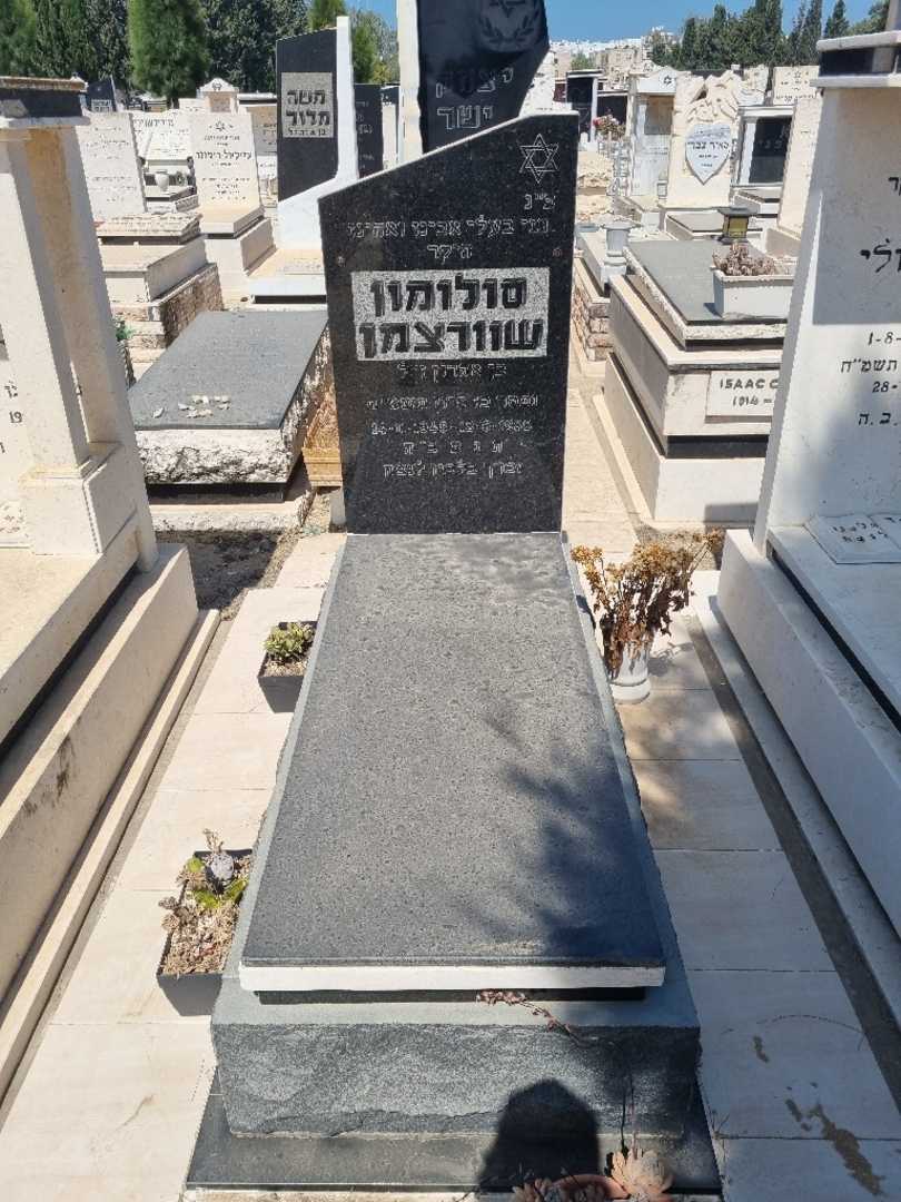 קברו של שלמה שוורצמן