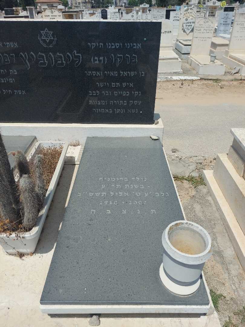 קברו של ברקו "דב" ליבוביץ. תמונה 1