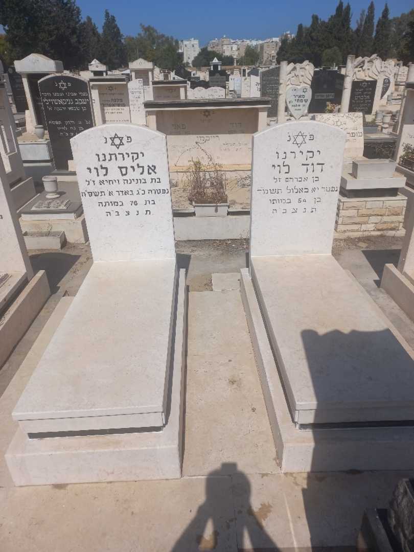 קברו של אליס לוי. תמונה 1