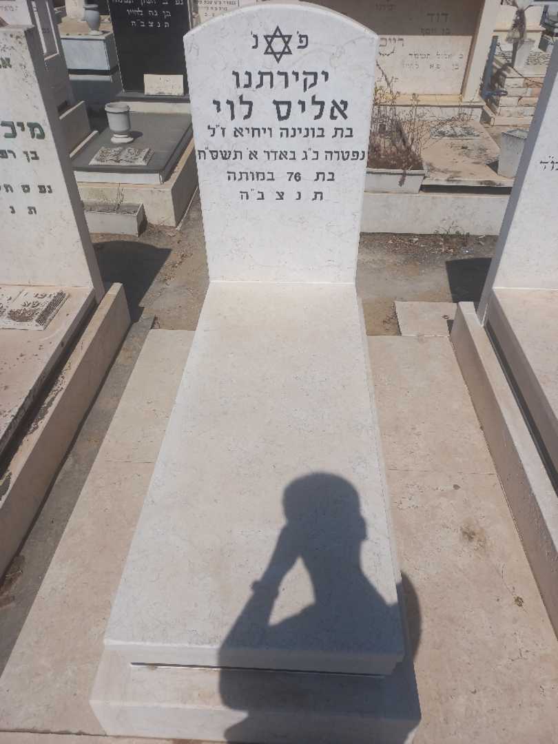 קברו של אליס לוי. תמונה 2