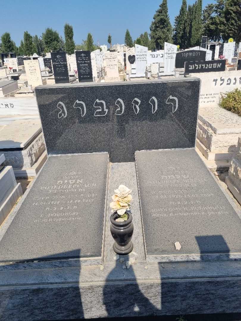 קברו של שלמה רוזנברג. תמונה 1