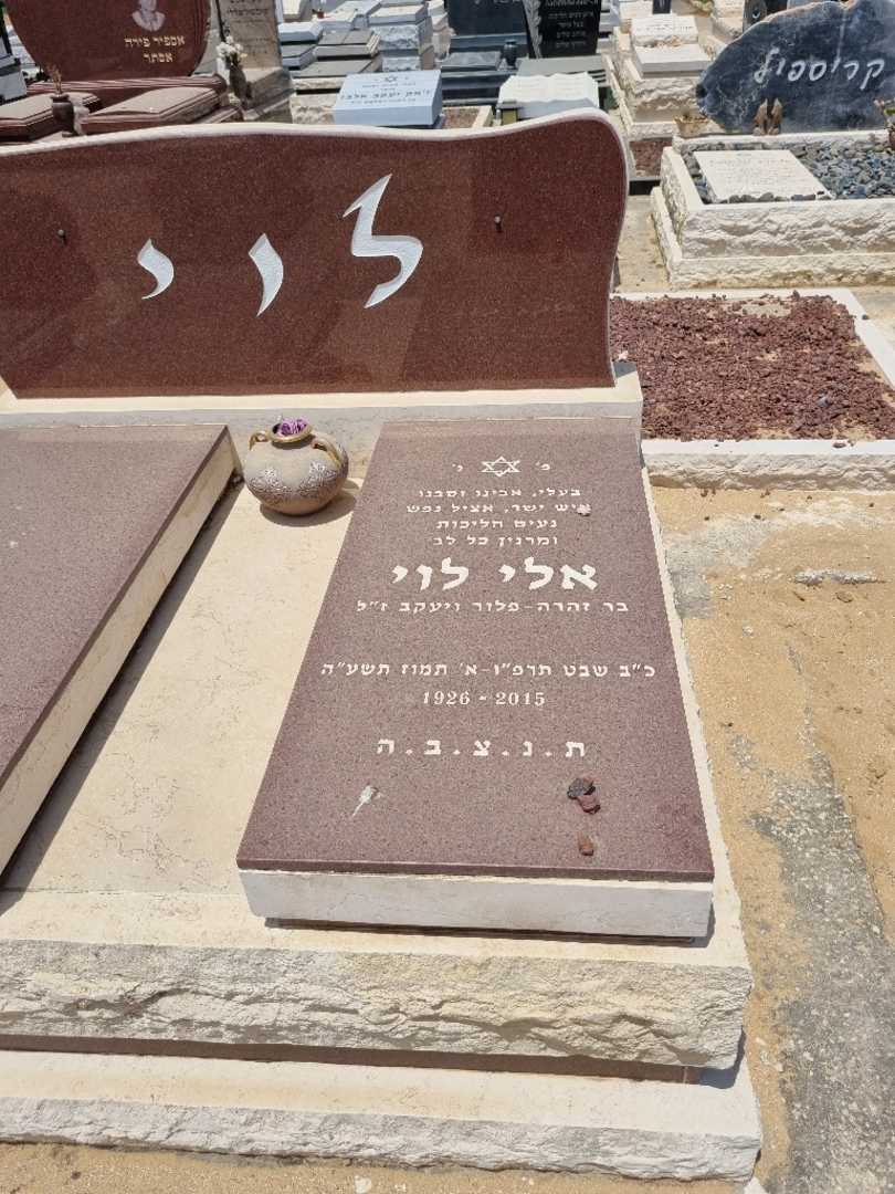 קברו של אלי לוי. תמונה 1