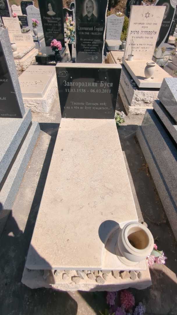 קברו של בוסיה זבגורודניה