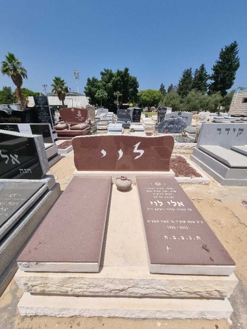 קברו של אלי לוי. תמונה 2