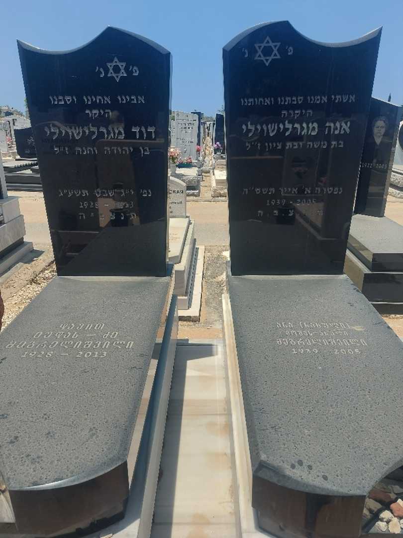 קברו של דוד מגרלישוילי. תמונה 1