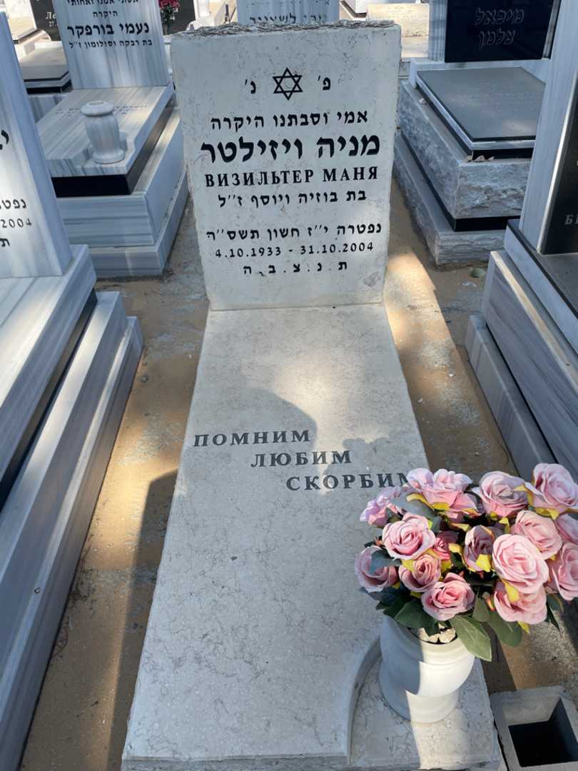 קברו של מאניה ויזילטר