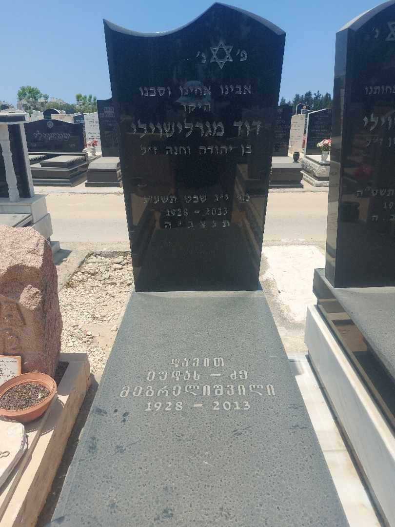 קברו של דוד מגרלישוילי. תמונה 2