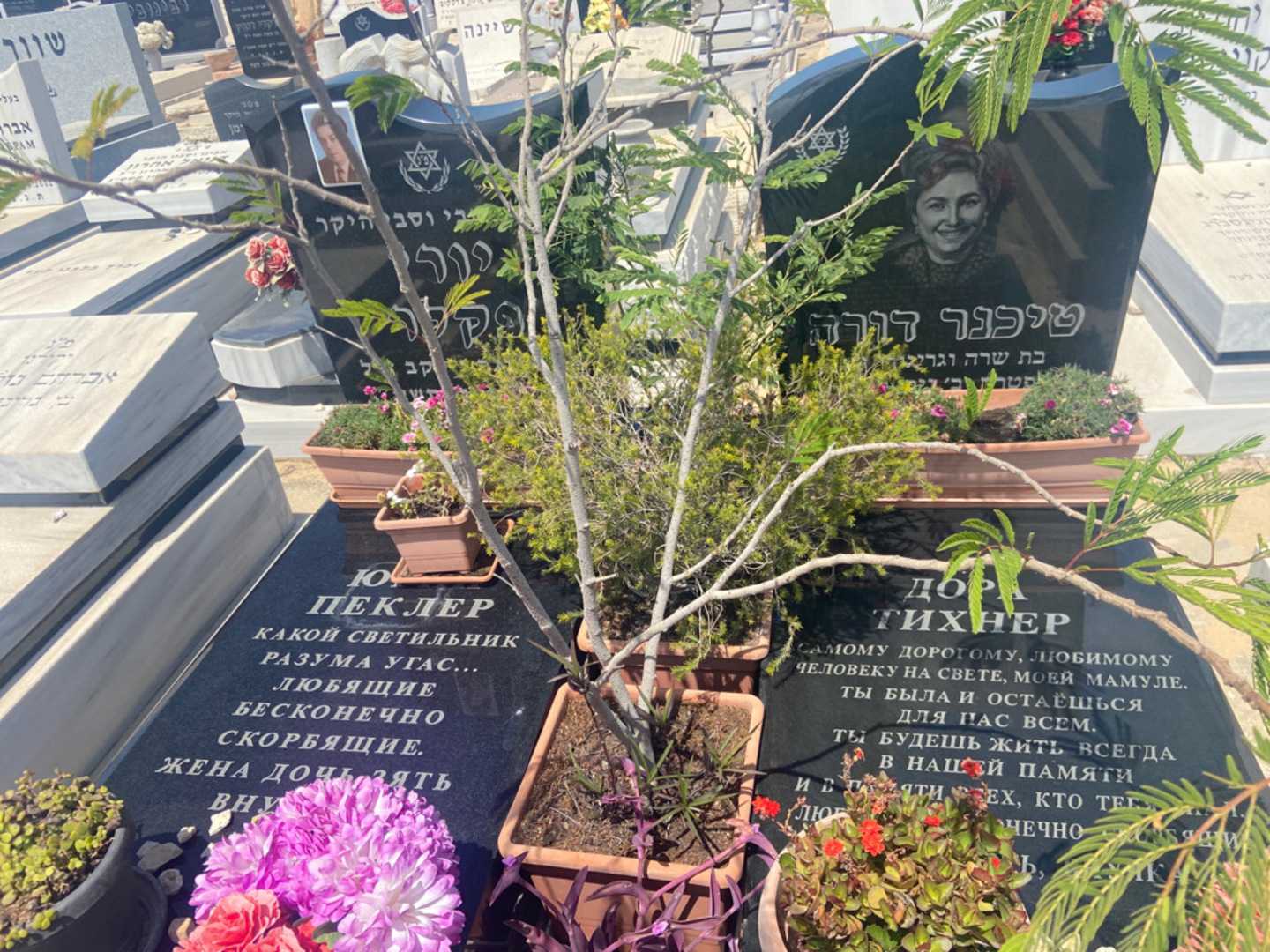 קברו של יורי פקלר. תמונה 1