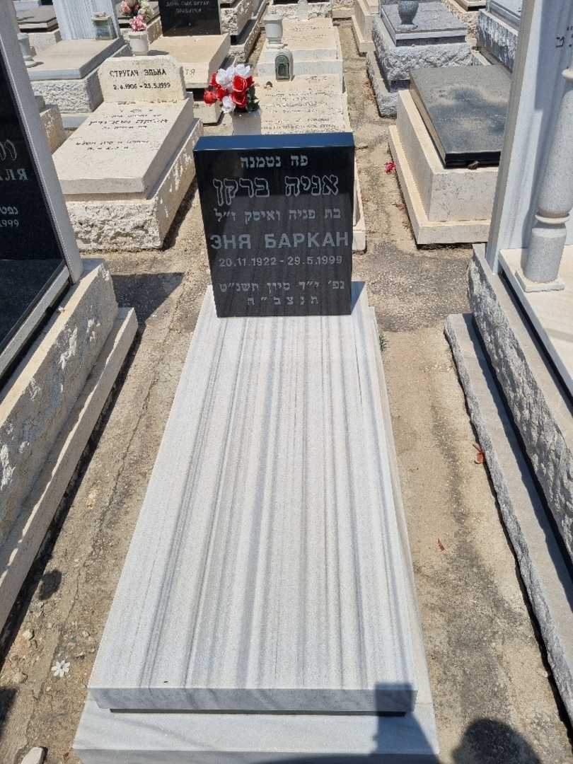 קברו של אניה ברקן