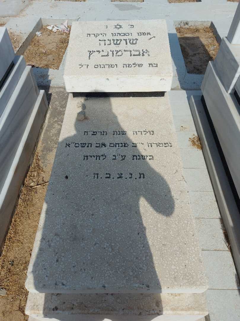 קברו של שושנה אברמוביץ