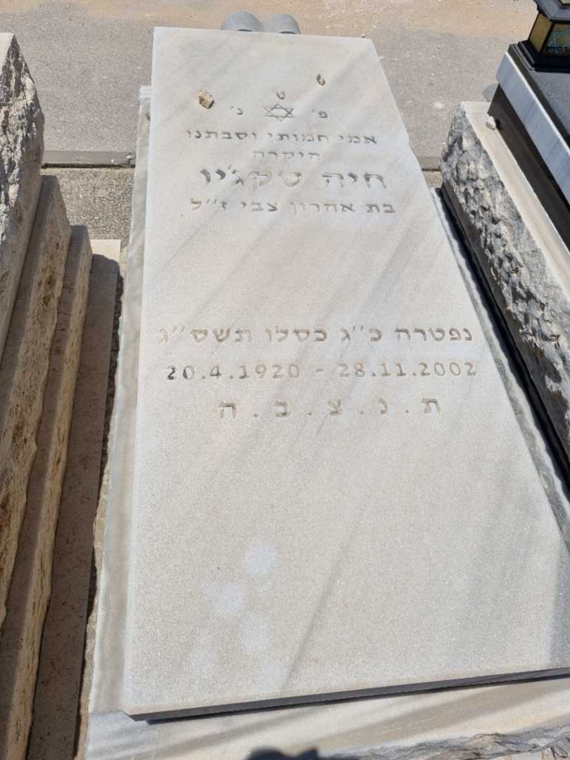 קברו של חיה סקג'ין