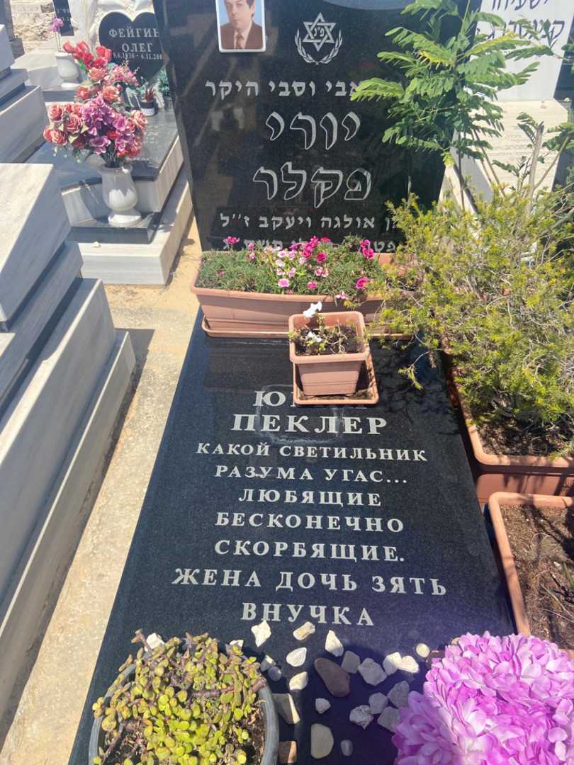 קברו של יורי פקלר. תמונה 2