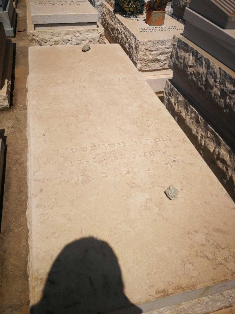 קברו של סימון שרביט