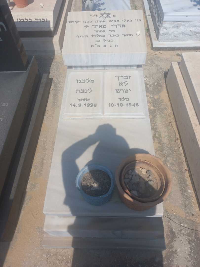 קברו של מאיר אדרי