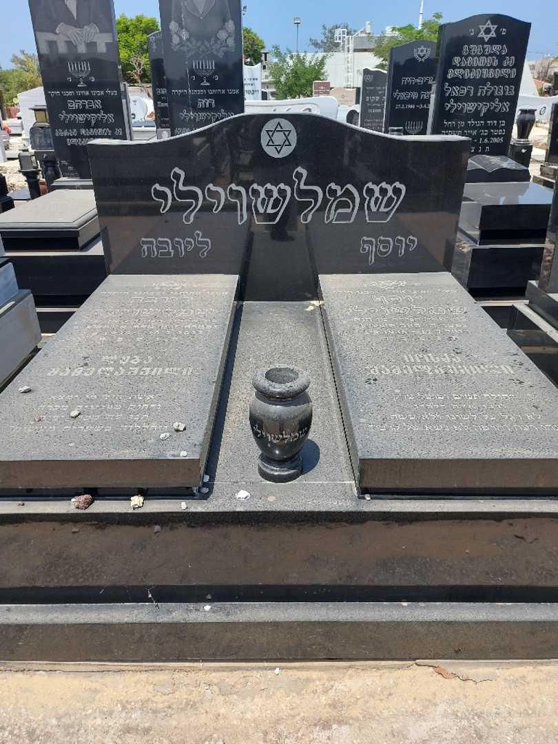 קברו של ליובוב שמלאשבילי. תמונה 1