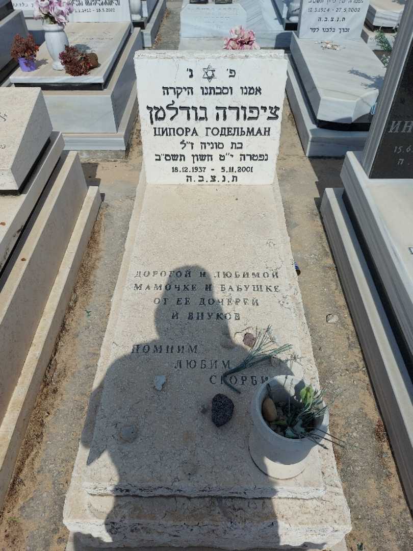 קברו של ציפורה גודלמן