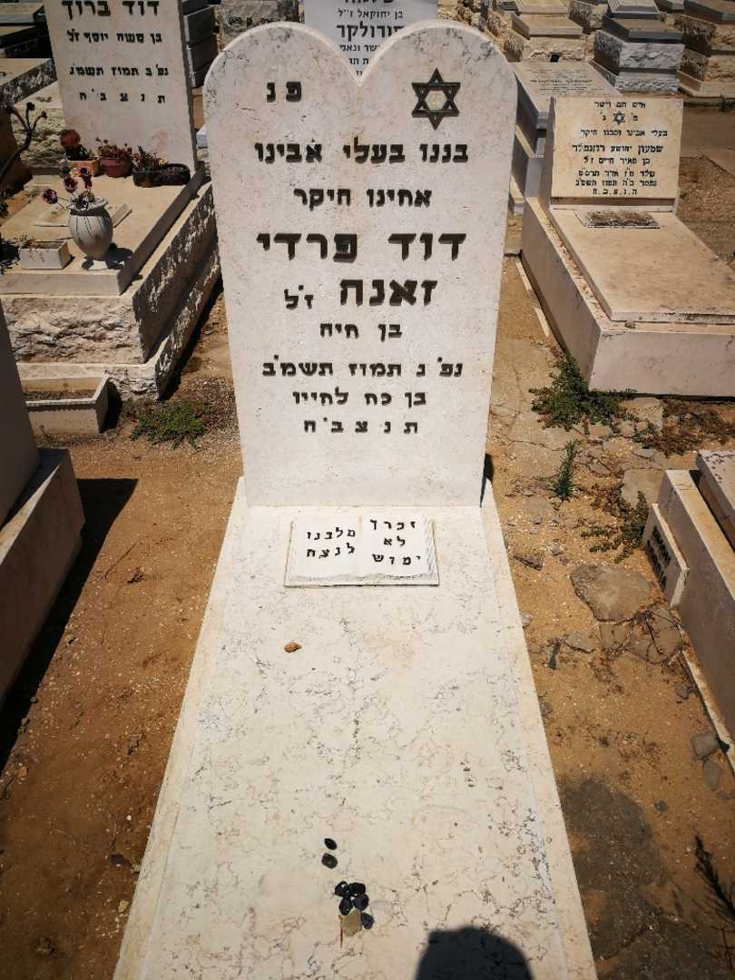קברו של דוד )פרדי זאנה