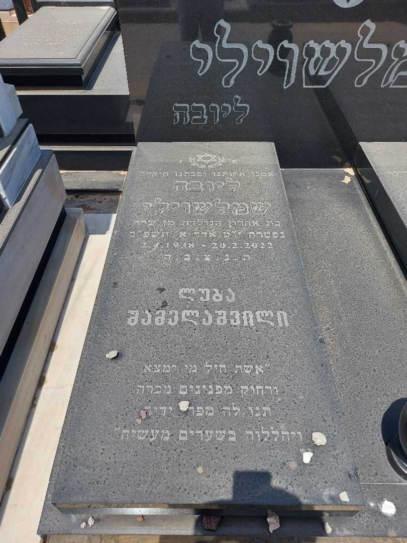 קברו של ליובוב שמלאשבילי. תמונה 2
