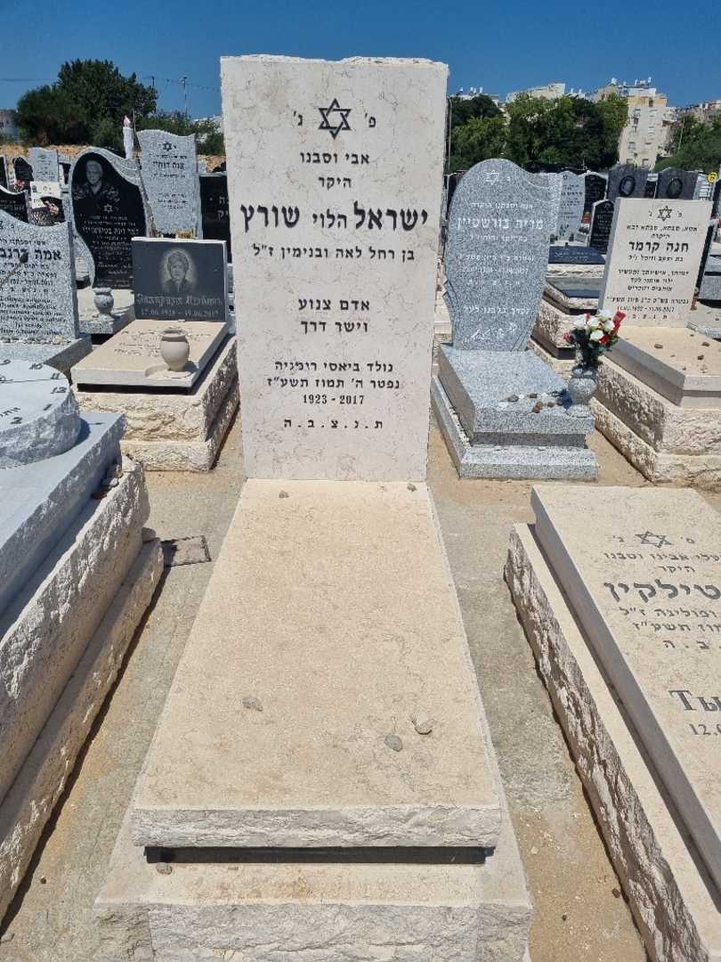 קברו של ישראל הלוי שורץ