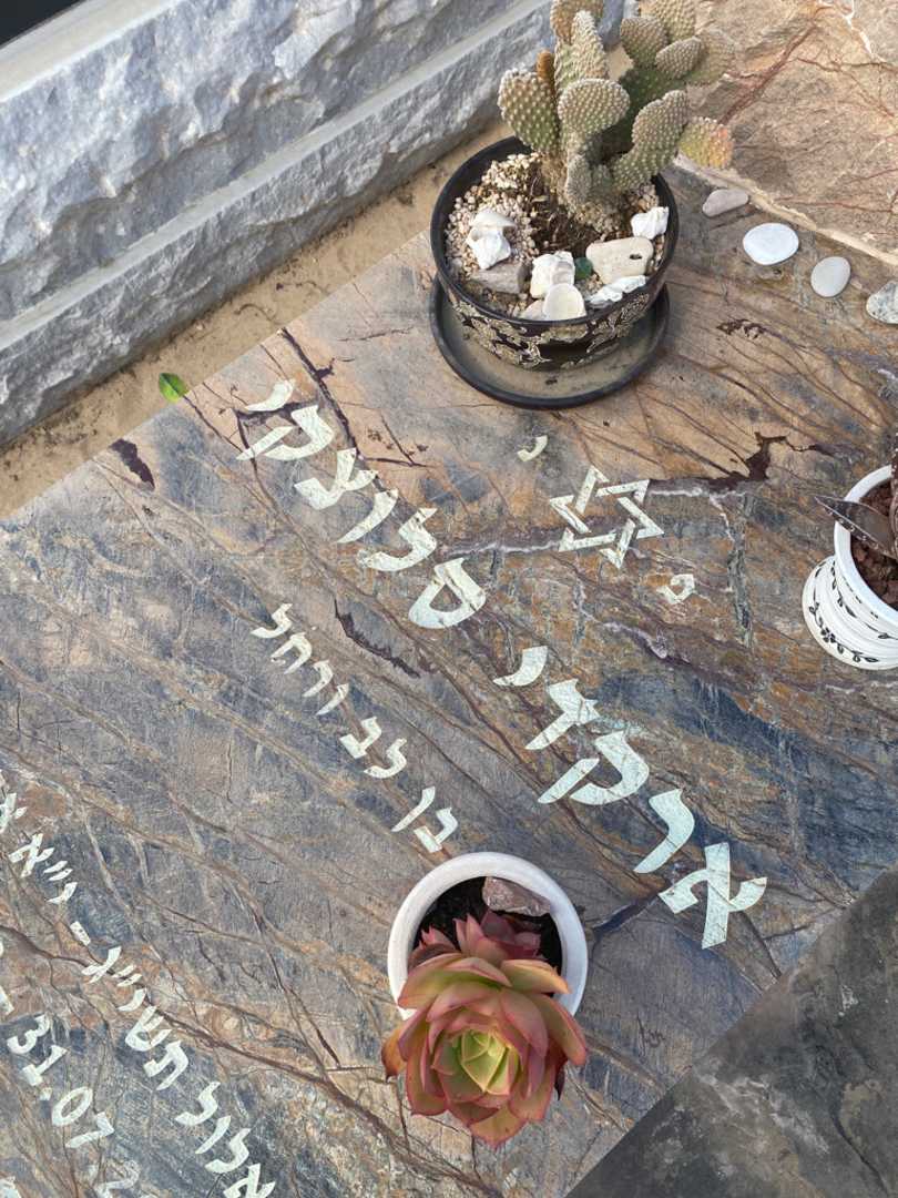 קברו של ארקדי סלוצקי. תמונה 2