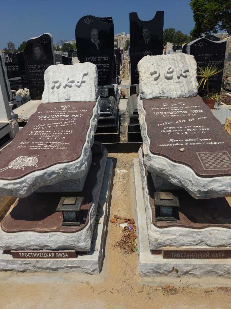 קברו של לאה טרוסטינצקי. תמונה 1