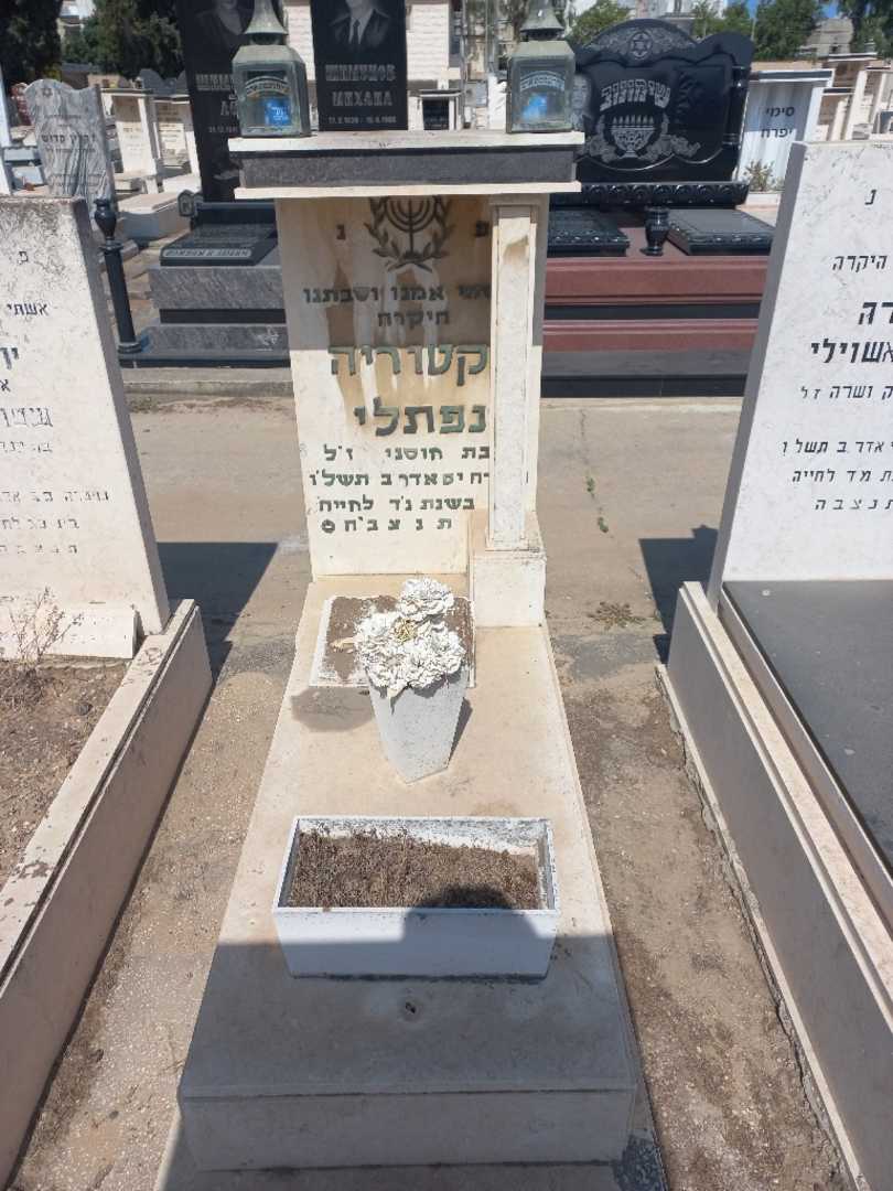 קברו של ויקטוריה נפתלי