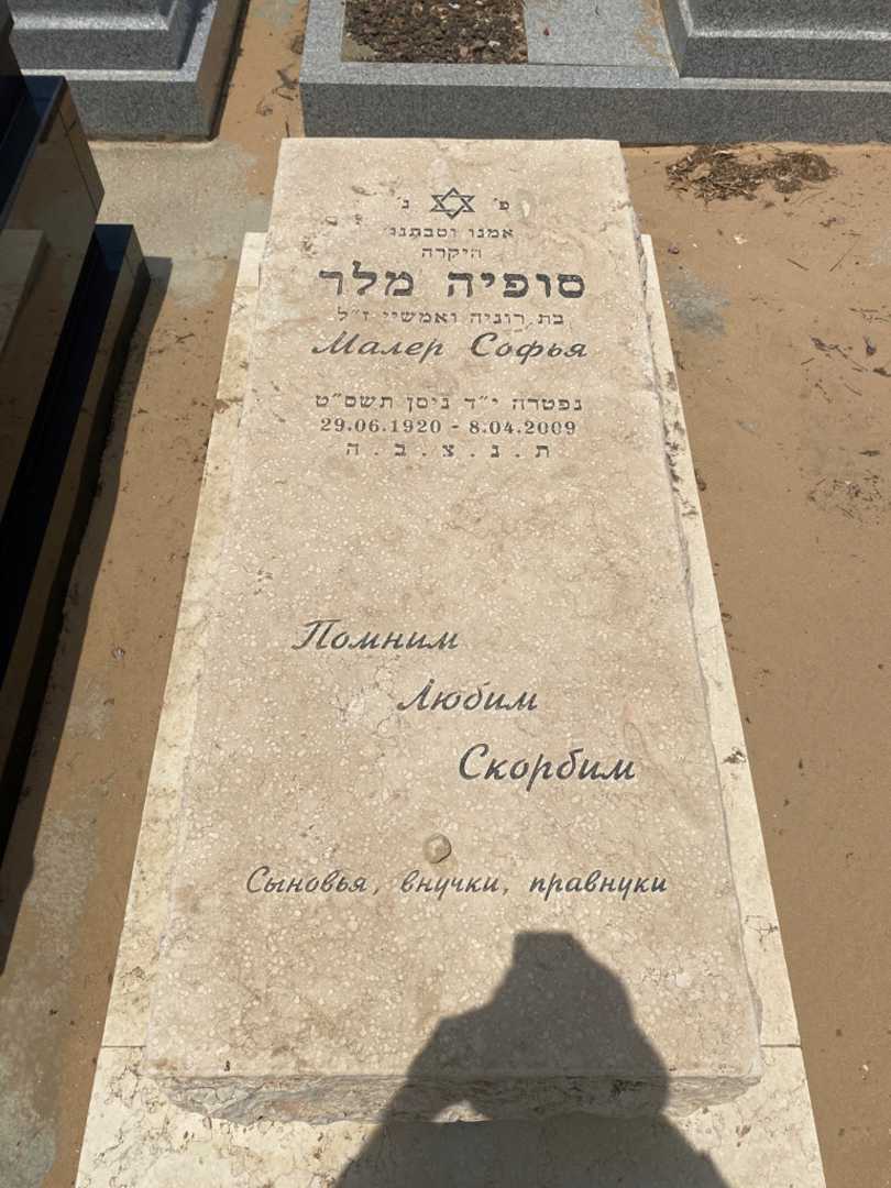 קברו של סופיה מלר