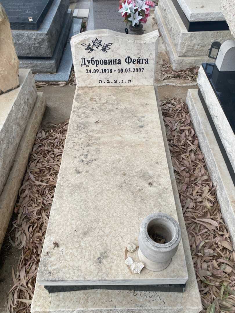 קברו של פייגה דוברובינה