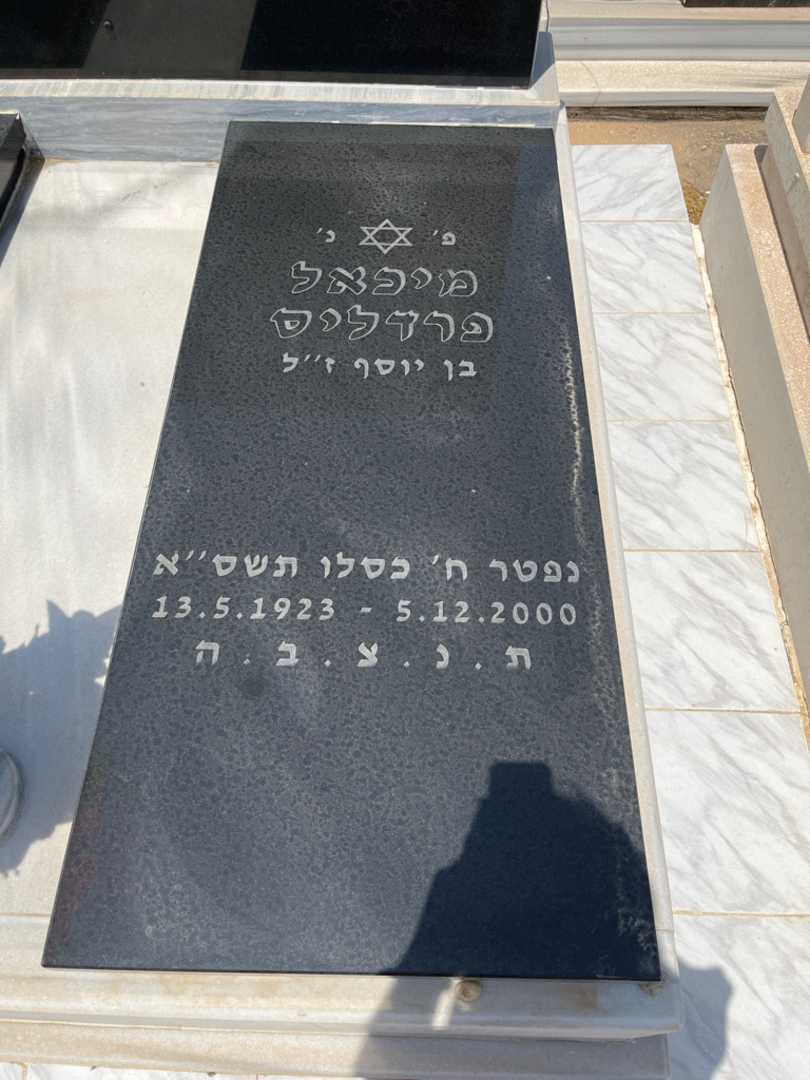 קברו של מיכאל פרדליס. תמונה 1