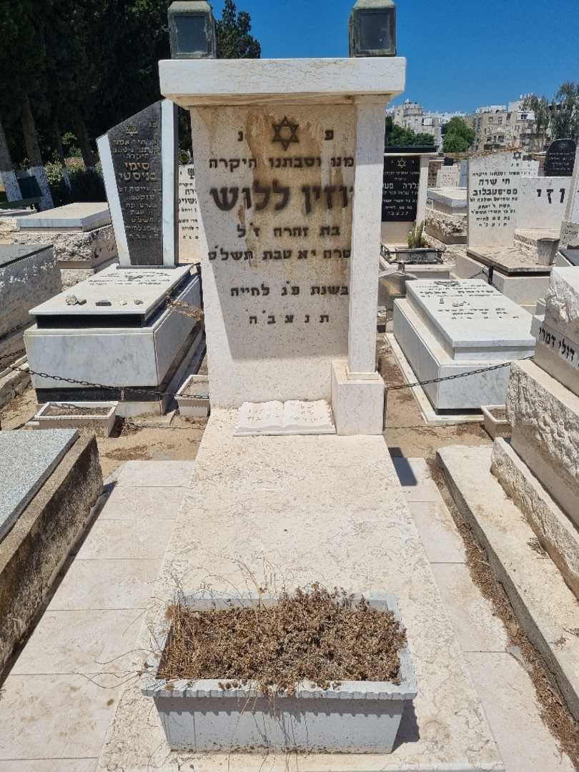 קברו של רוזין ללוש. תמונה 1