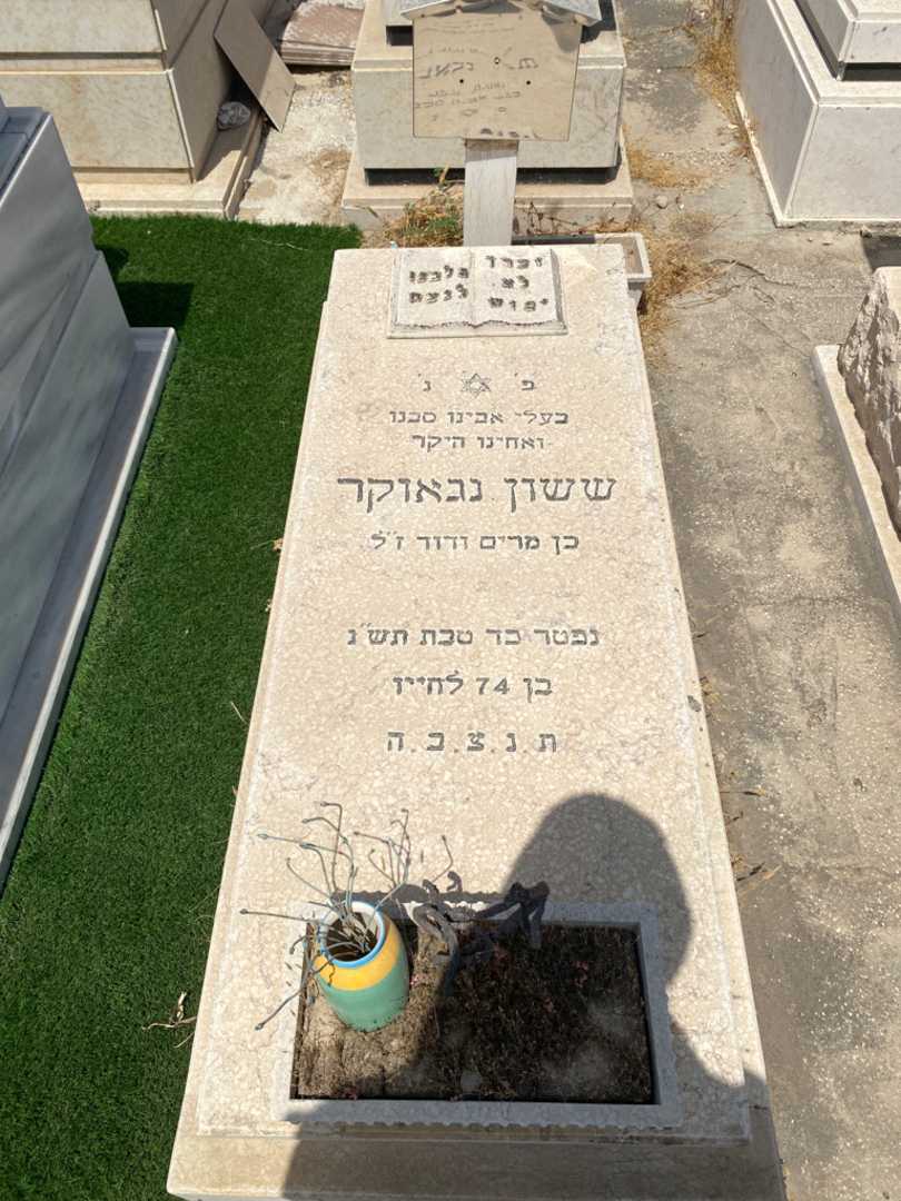 קברו של ששון נגאוקר